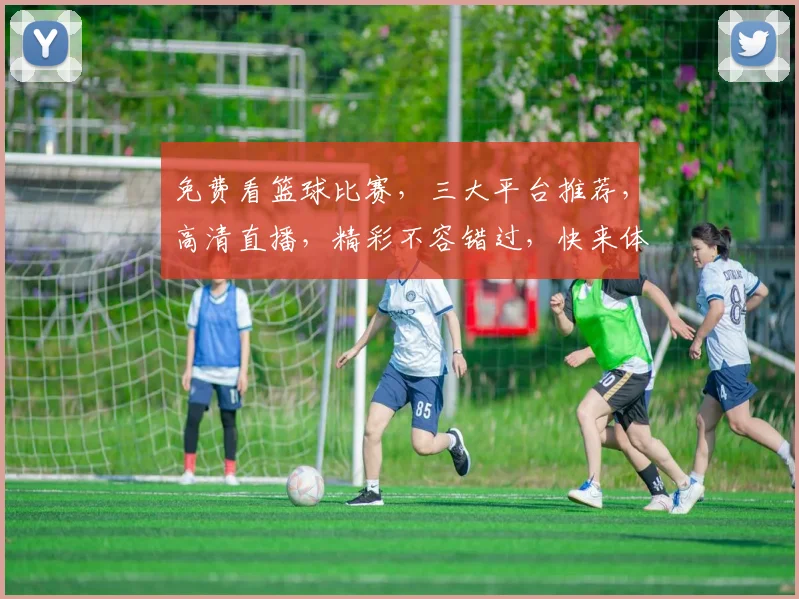 免费看篮球比赛，三大平台推荐，高清直播，精彩不容错过，快来体验