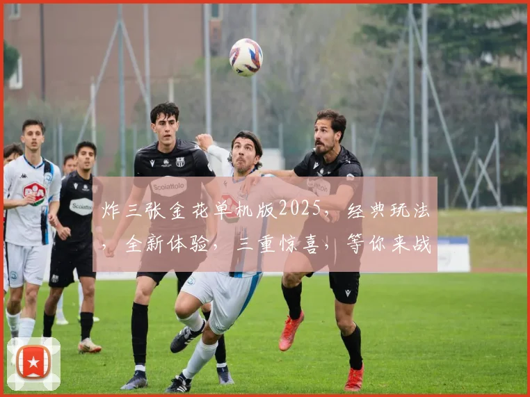 炸三张金花单机版2025，经典玩法，全新体验，三重惊喜，等你来战