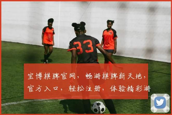 宝博棋牌官网，畅游棋牌新天地，官方入口，轻松注册，体验精彩游戏，尽在宝博